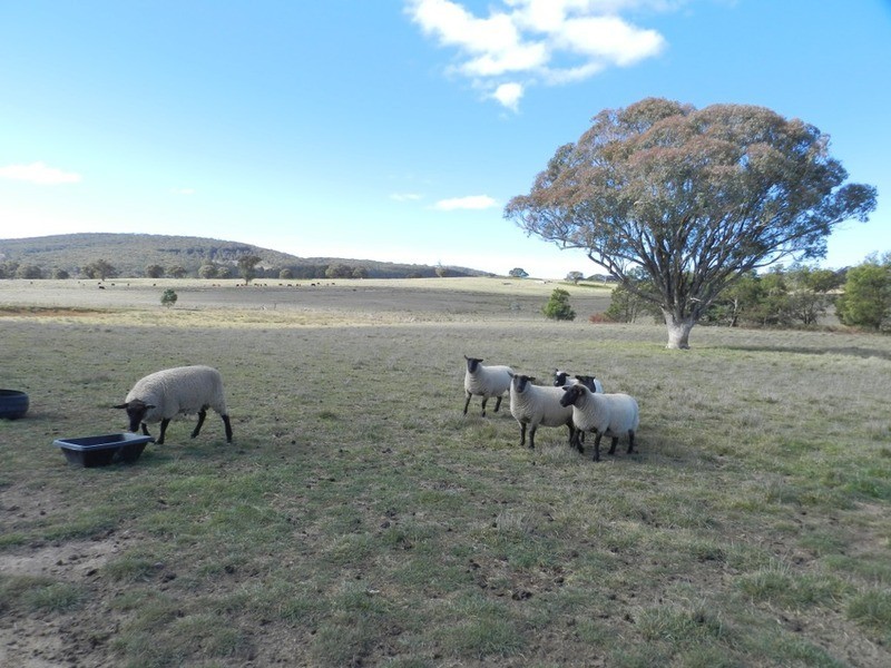 105 Kennedy  Road, Grabben Gullen NSW 2583