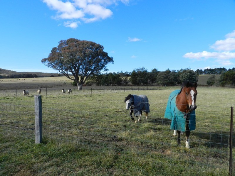 105 Kennedy  Road, Grabben Gullen NSW 2583