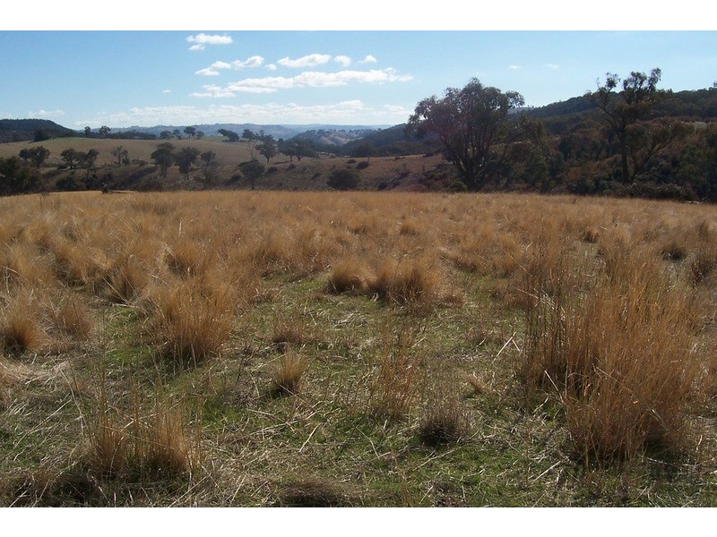 “Wombat Valley” Off Wick Whack Road, Bigga NSW 2583