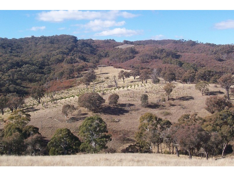 “Wombat Valley” Off Wick Whack Road, Bigga NSW 2583