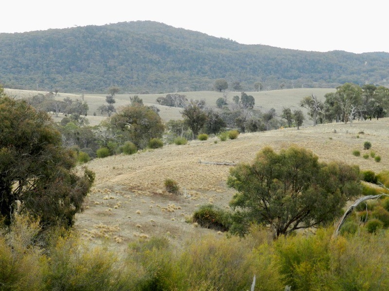 “Wombat Valley” Off Wick Whack Road, Bigga NSW 2583