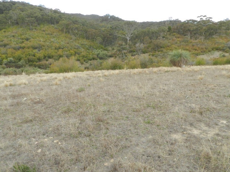 “Wombat Valley” Off Wick Whack Road, Bigga NSW 2583