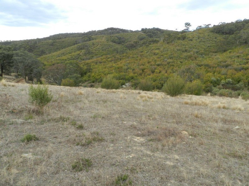 “Wombat Valley” Off Wick Whack Road, Bigga NSW 2583
