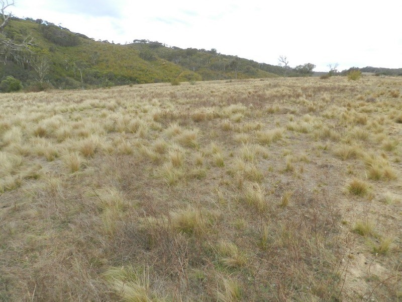 “Wombat Valley” Off Wick Whack Road, Bigga NSW 2583
