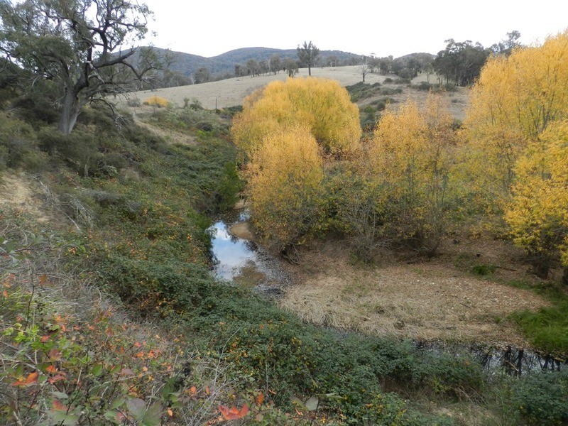 “Wombat Valley” Off Wick Whack Road, Bigga NSW 2583