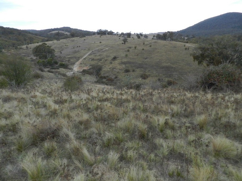 “Wombat Valley” Off Wick Whack Road, Bigga NSW 2583