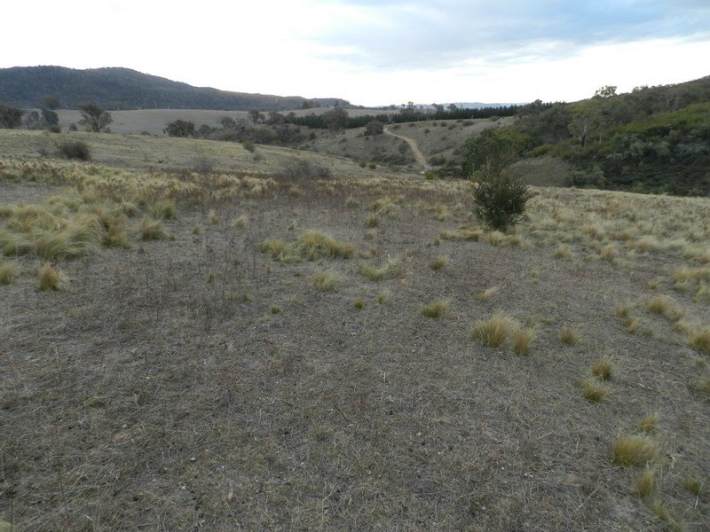 “Wombat Valley” Off Wick Whack Road, Bigga NSW 2583