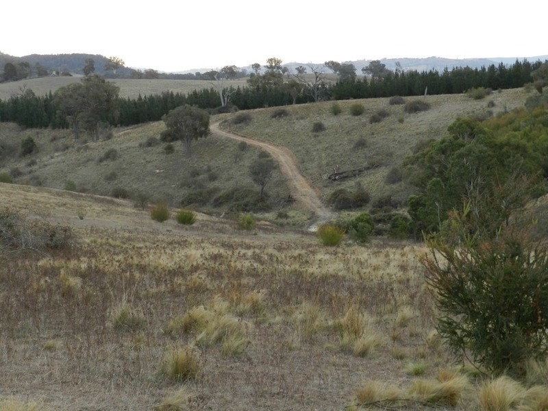 “Wombat Valley” Off Wick Whack Road, Bigga NSW 2583