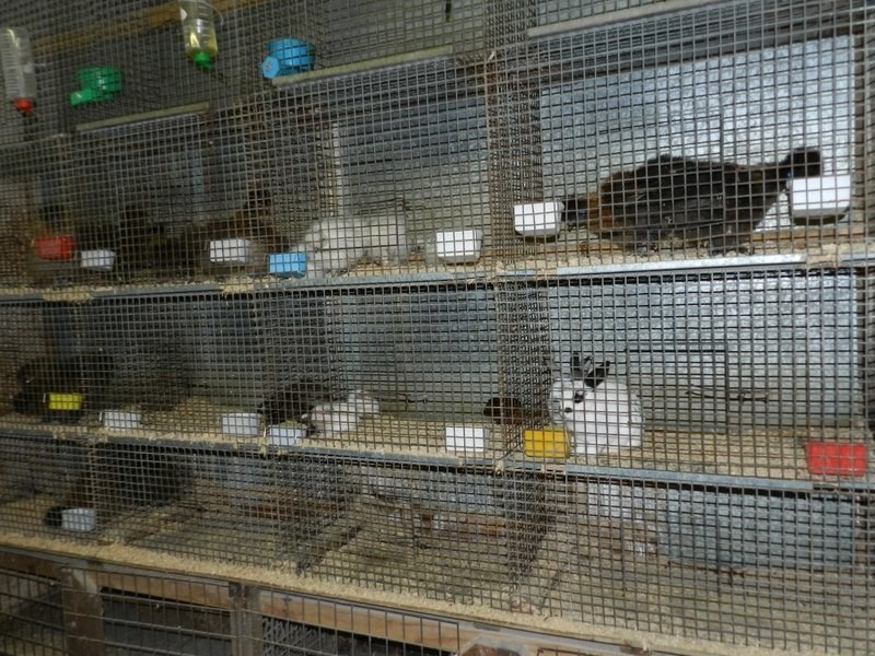 360-362 Auburn Street, Goulburn NSW 2580