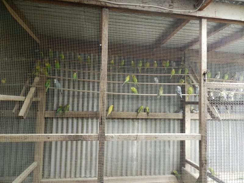 360-362 Auburn Street, Goulburn NSW 2580