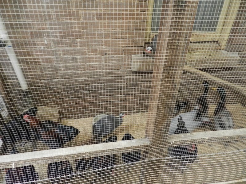 360-362 Auburn Street, Goulburn NSW 2580