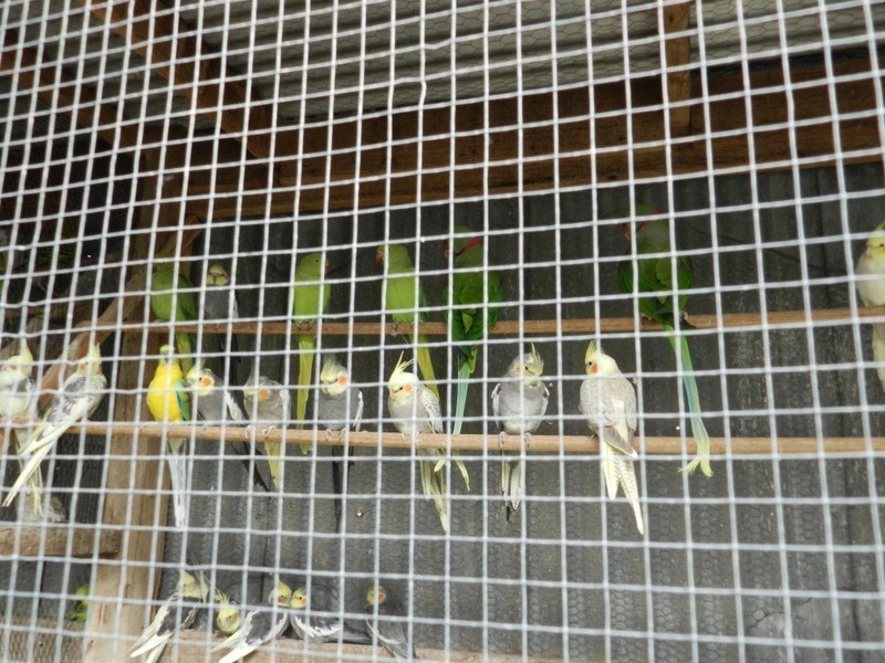 360-362 Auburn Street, Goulburn NSW 2580