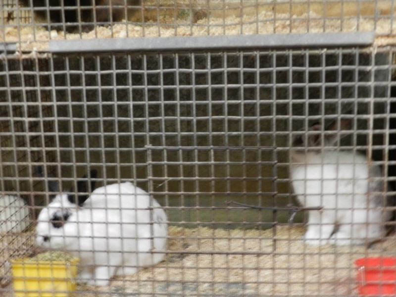 360-362 Auburn Street, Goulburn NSW 2580