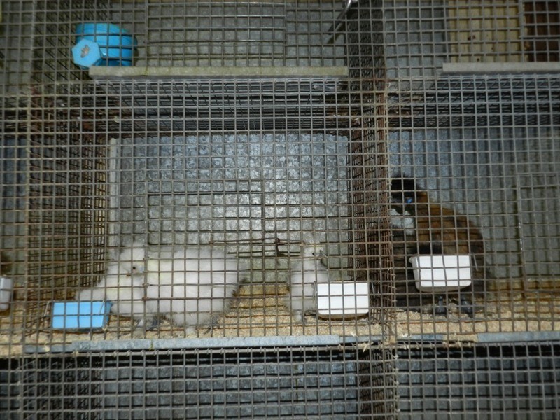 360-362 Auburn Street, Goulburn NSW 2580