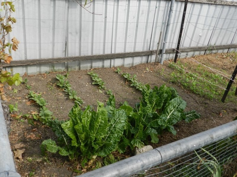 360-362 Auburn Street, Goulburn NSW 2580