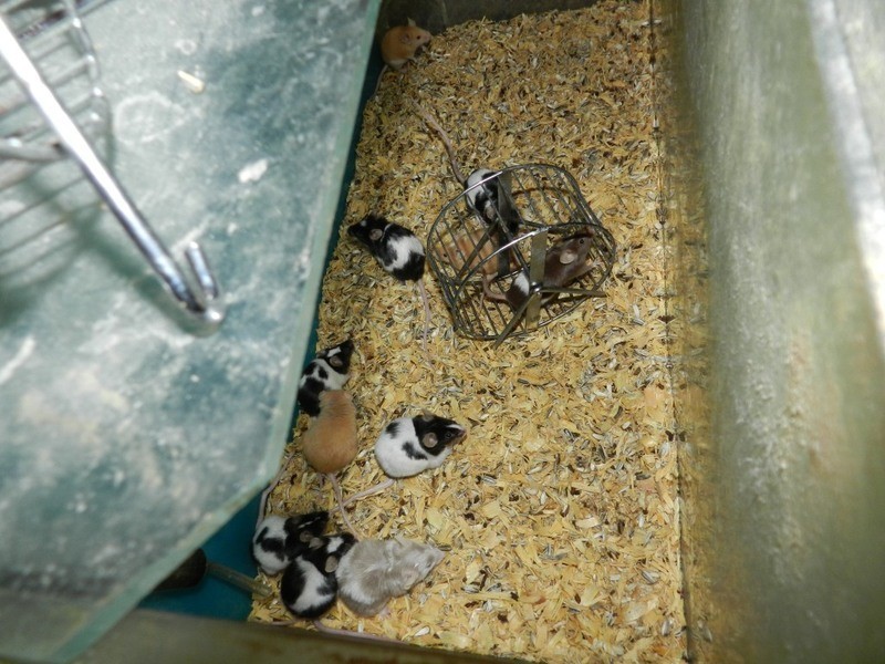 360-362 Auburn Street, Goulburn NSW 2580