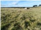 122 Oak Valley  Road, Marulan NSW 2579