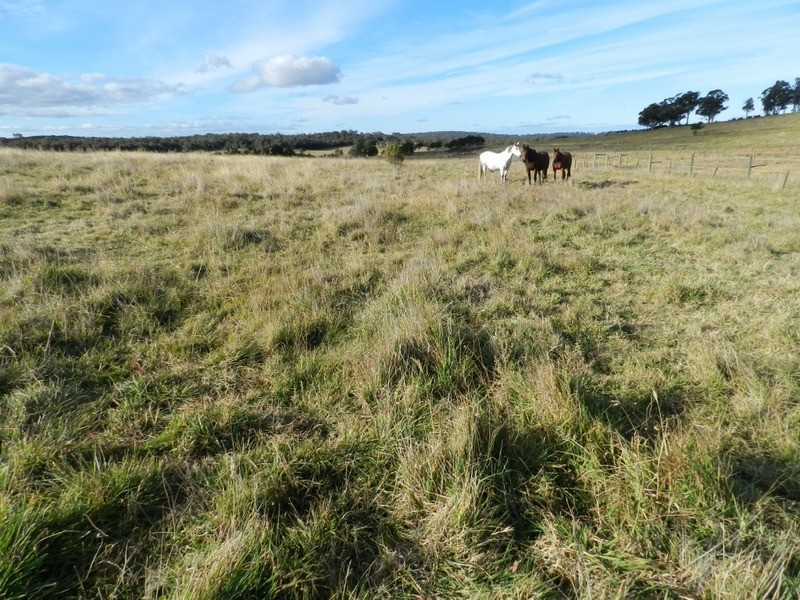 122 Oak Valley  Road, Marulan NSW 2579