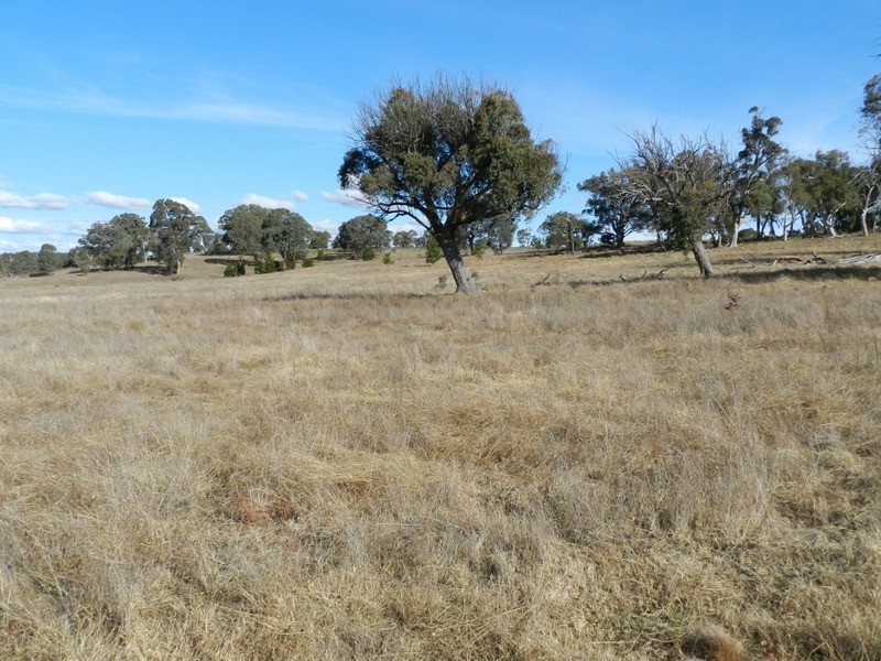 33 Ravenswood Lane, Goulburn NSW 2580