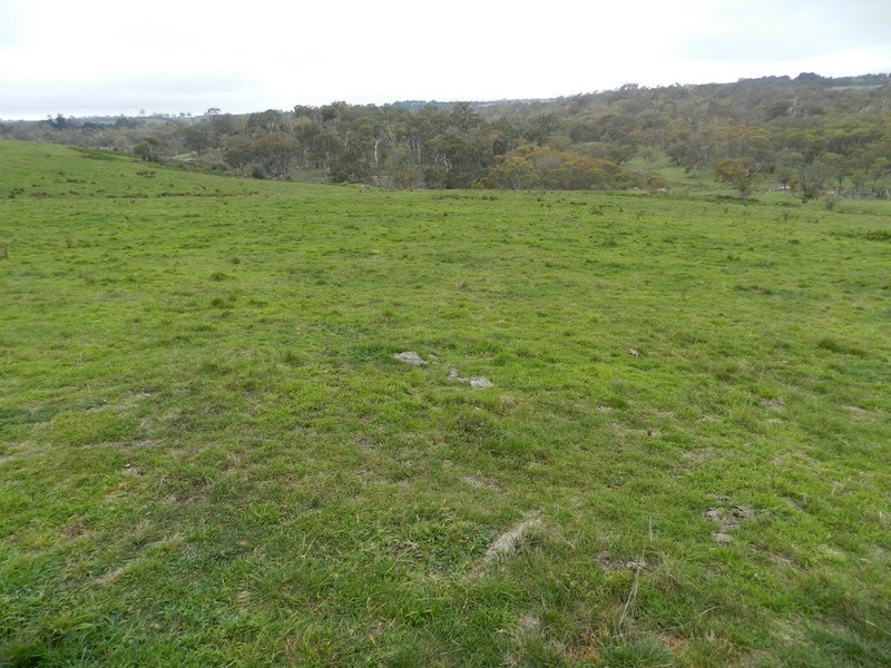 Lot 6 Woodhouselee Road, Laggan NSW 2583