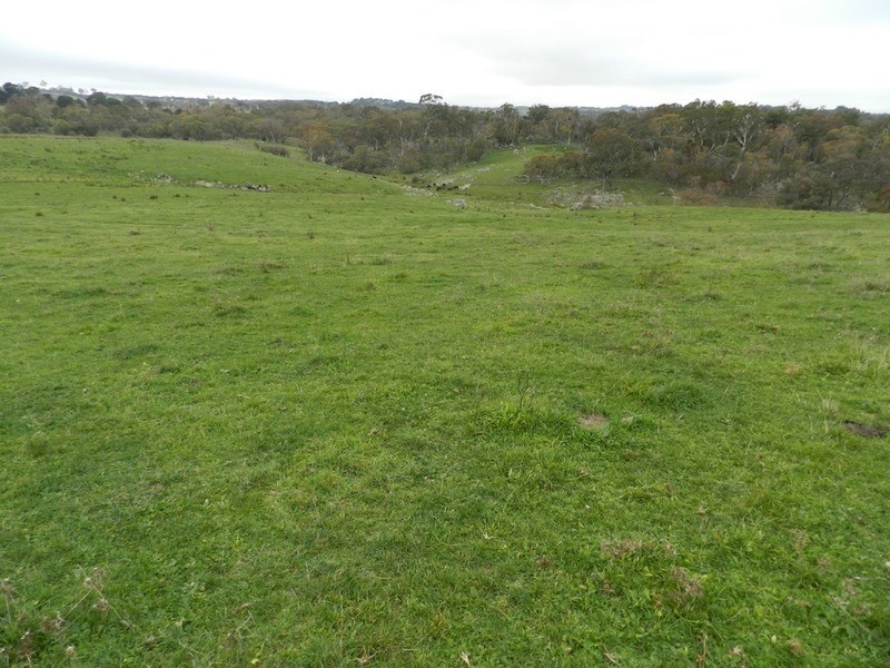 Lot 6 Woodhouselee Road, Laggan NSW 2583