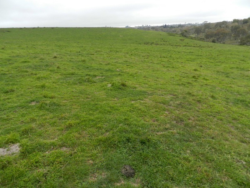 Lot 6 Woodhouselee Road, Laggan NSW 2583