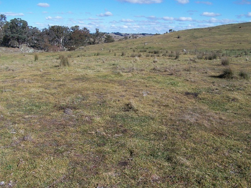 Lot 6 Woodhouselee Road, Laggan NSW 2583