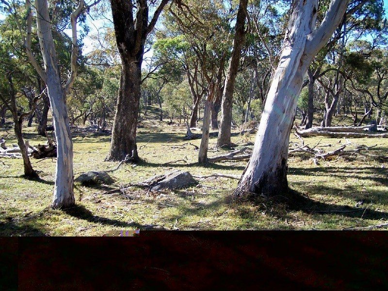 Lot 6 Woodhouselee Road, Laggan NSW 2583