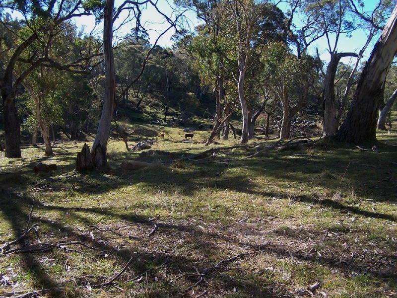 Lot 6 Woodhouselee Road, Laggan NSW 2583