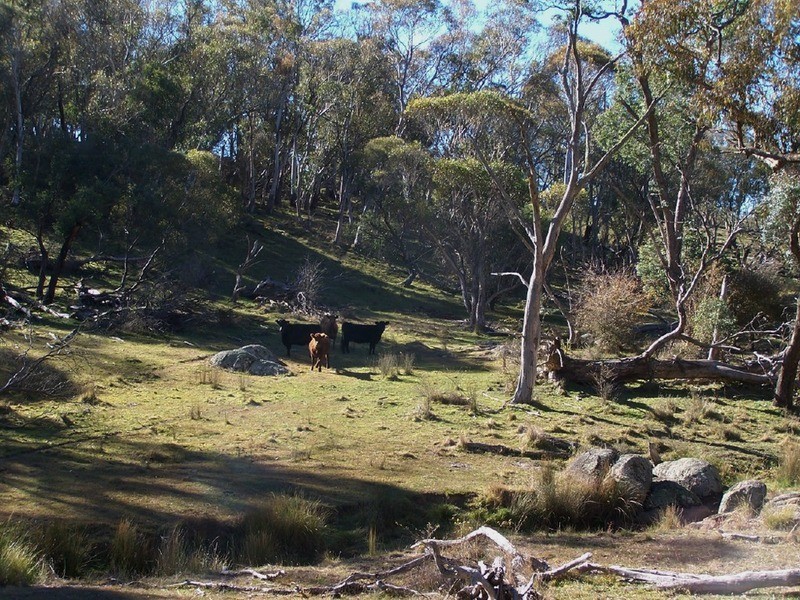 Lot 6 Woodhouselee Road, Laggan NSW 2583