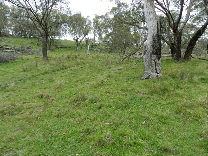 Lot 6 Woodhouselee Road, Laggan NSW 2583