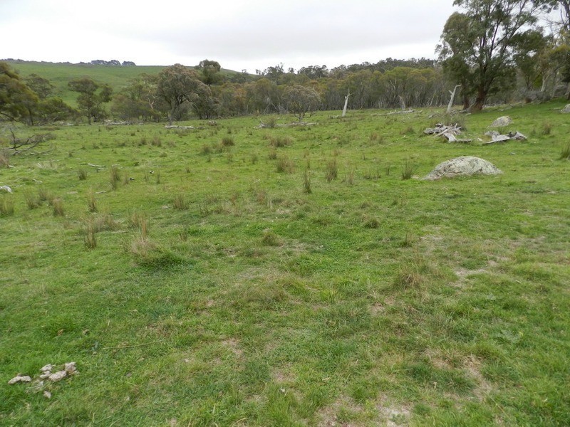 Lot 6 Woodhouselee Road, Laggan NSW 2583