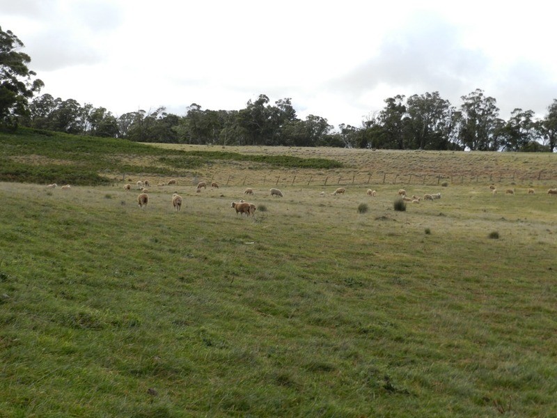 483 Golspie Road, Taralga NSW 2580