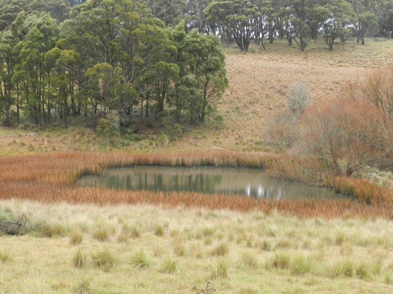 483 Golspie Road, Taralga NSW 2580