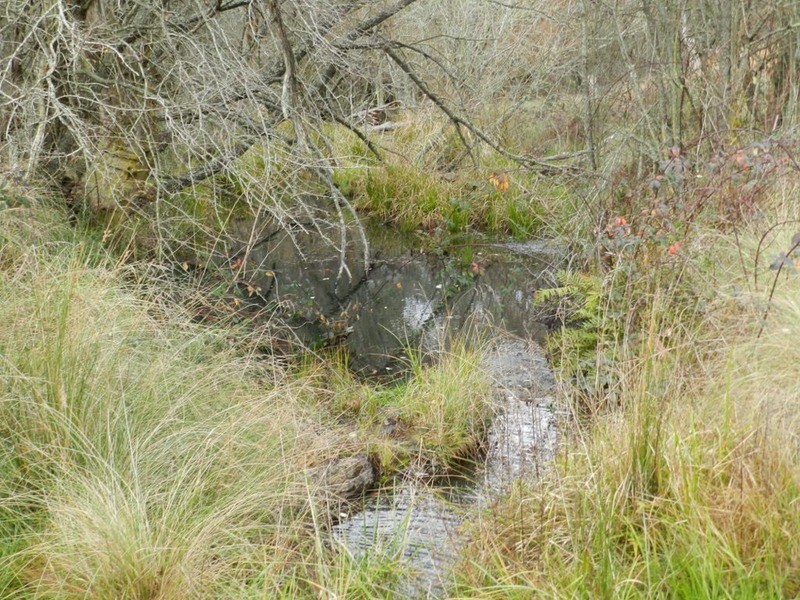 483 Golspie Road, Taralga NSW 2580