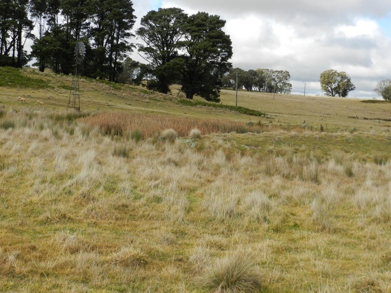 483 Golspie Road, Taralga NSW 2580