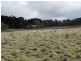 16 “Panorama East”, Taralga NSW 2580