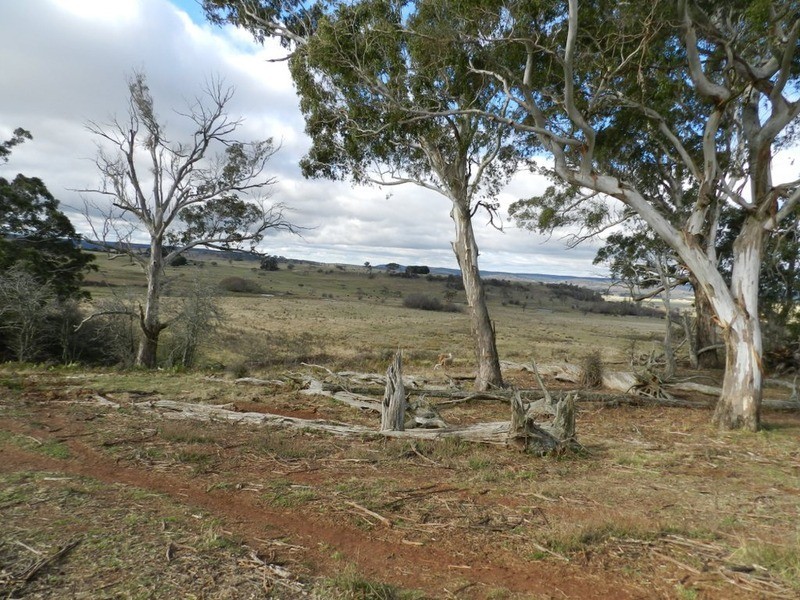 16 “Panorama East”, Taralga NSW 2580