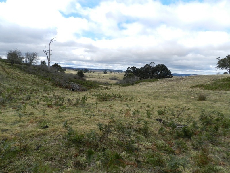 16 “Panorama East”, Taralga NSW 2580