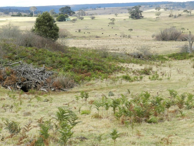 16 “Panorama East”, Taralga NSW 2580