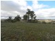 16 “Panorama East”, Taralga NSW 2580