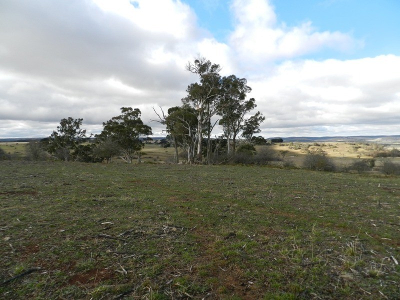 16 “Panorama East”, Taralga NSW 2580