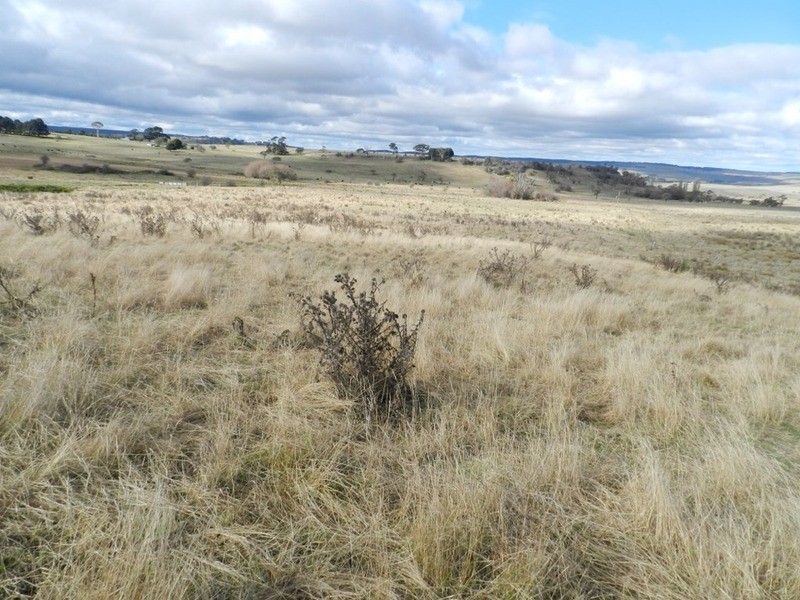 16 “Panorama East”, Taralga NSW 2580