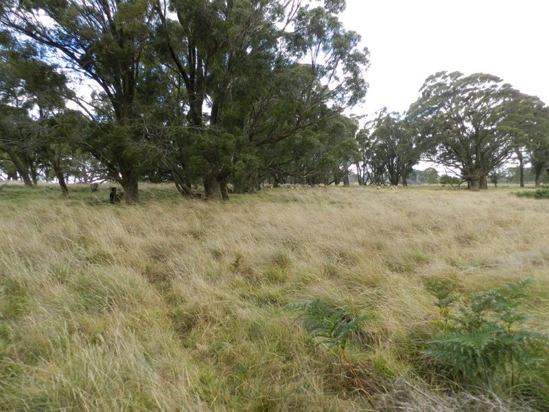 Lot 37 Golspie Road, Taralga NSW 2580