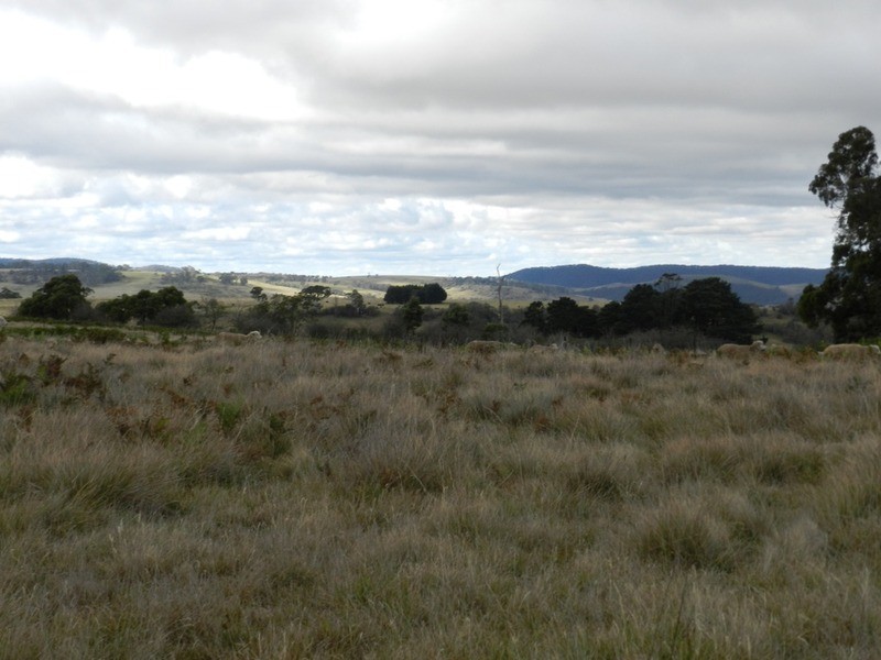 Lot 37 Golspie Road, Taralga NSW 2580
