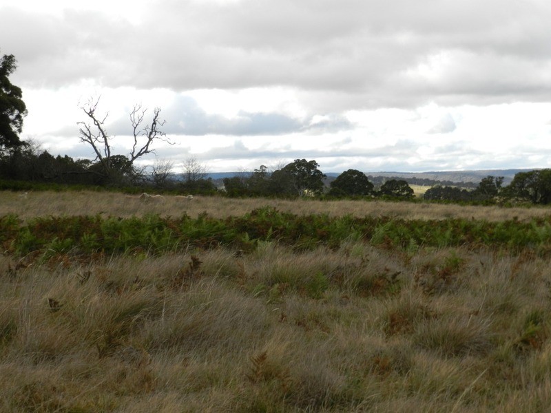 Lot 37 Golspie Road, Taralga NSW 2580
