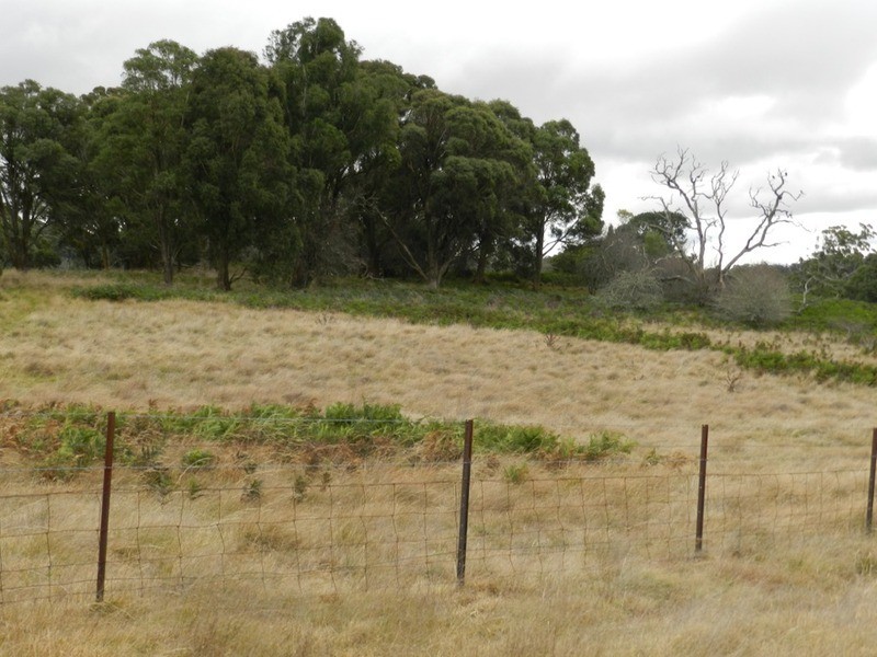 Lot 37 Golspie Road, Taralga NSW 2580