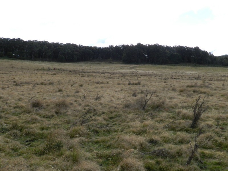 Lot 39 Golspie  Road, Taralga NSW 2580