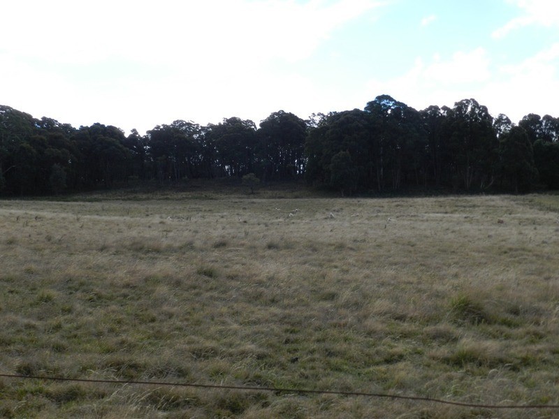 Lot 39 Golspie  Road, Taralga NSW 2580