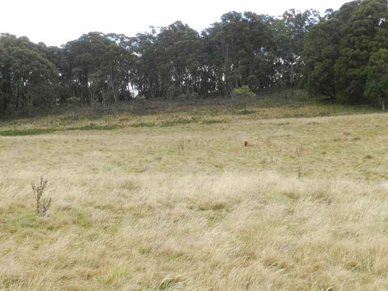 Lot 39 Golspie  Road, Taralga NSW 2580